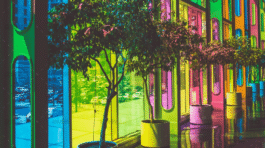 demo-attachment-850-portfolio-2-img